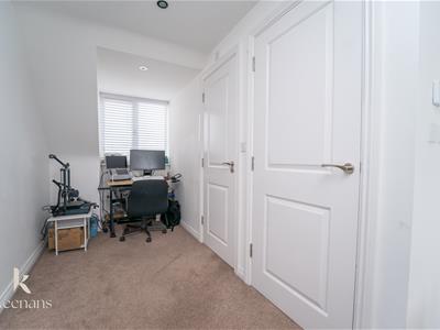 Picture 17